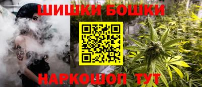 крисы Новодвинск