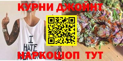 крисы Новодвинск