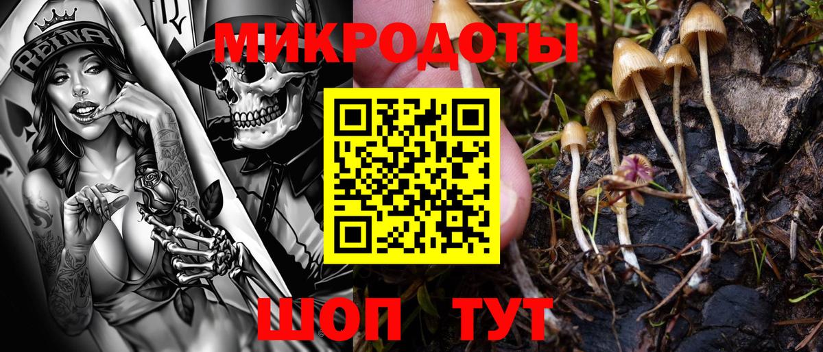 Псилоцибиновые грибы прущие грибы  Вход с VPN  Саяногорск 