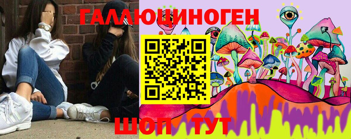 Псилоцибиновые грибы Cubensis Саяногорск